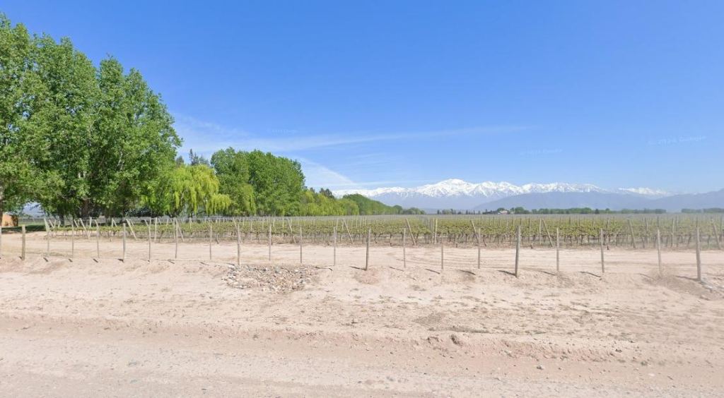 Finca en Venta en Lujan de Cuyo, Mendoza