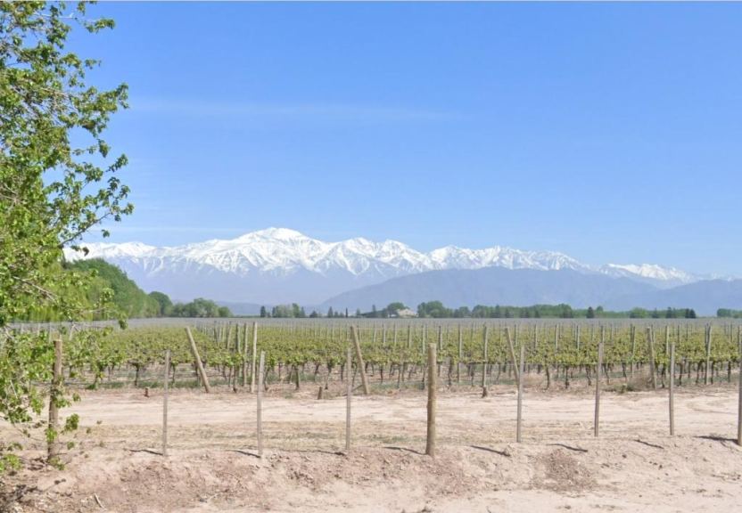 Finca en Venta en Lujan de Cuyo, Mendoza