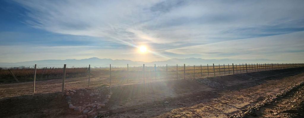 Finca en Venta en Lujan de Cuyo, Mendoza