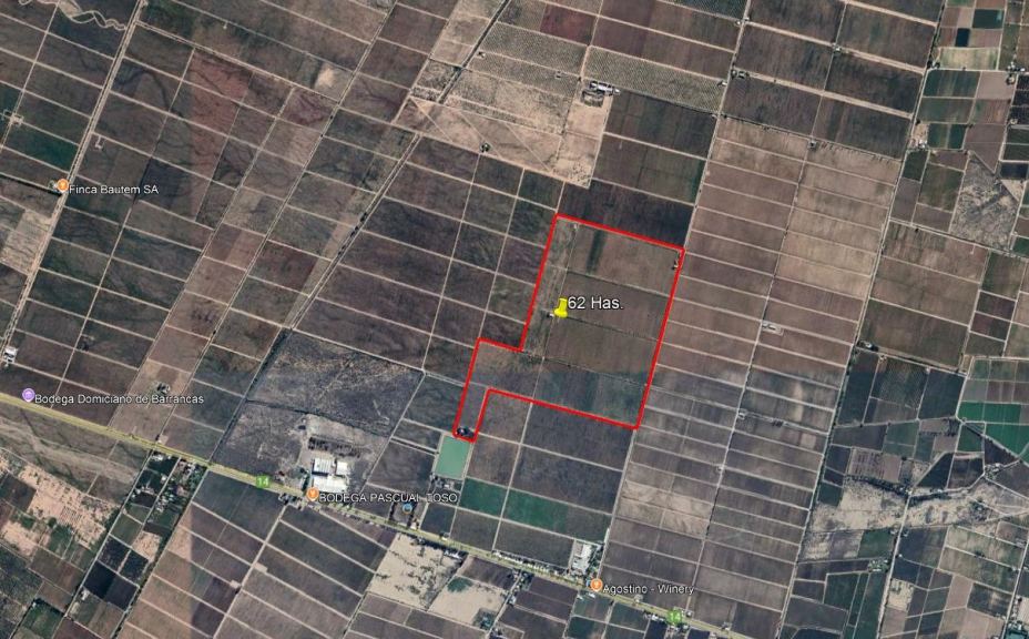Finca en Venta en Maipu, Mendoza