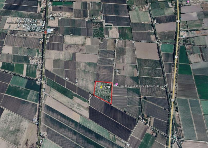Finca en Venta en San Carlos, Mendoza