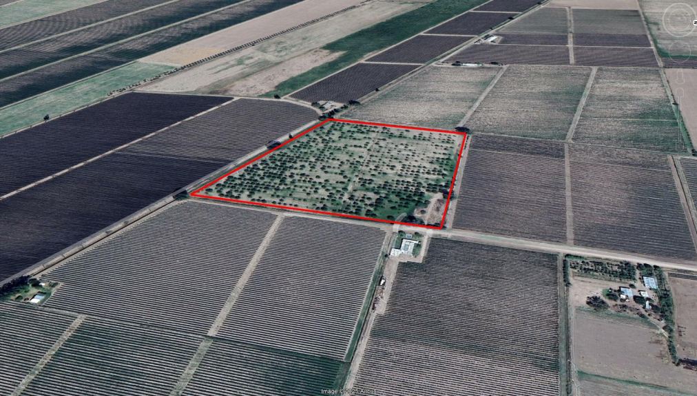 Finca en Venta en San Carlos, Mendoza