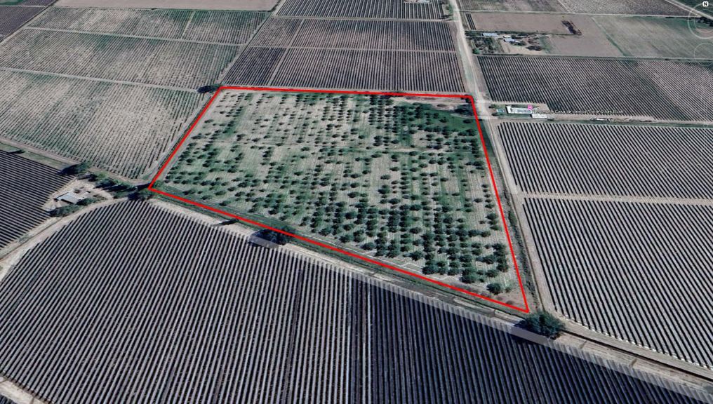 Finca en Venta en San Carlos, Mendoza