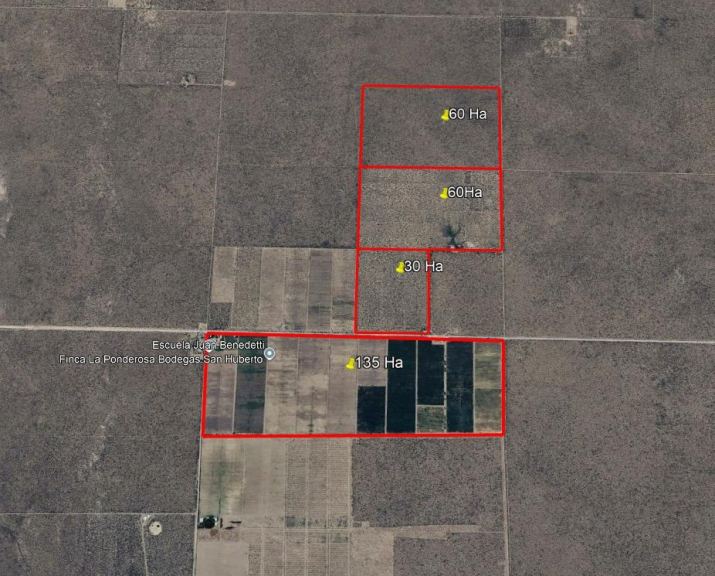 Finca en Venta en Santa Rosa, Mendoza