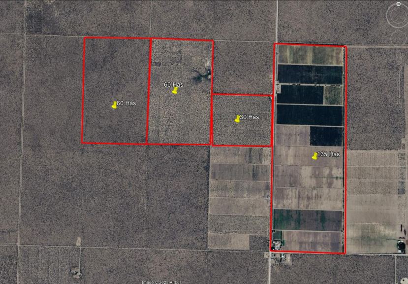 Finca en Venta en Santa Rosa, Mendoza
