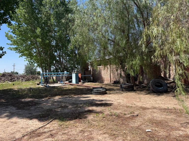 Finca en Venta en Junin, Mendoza