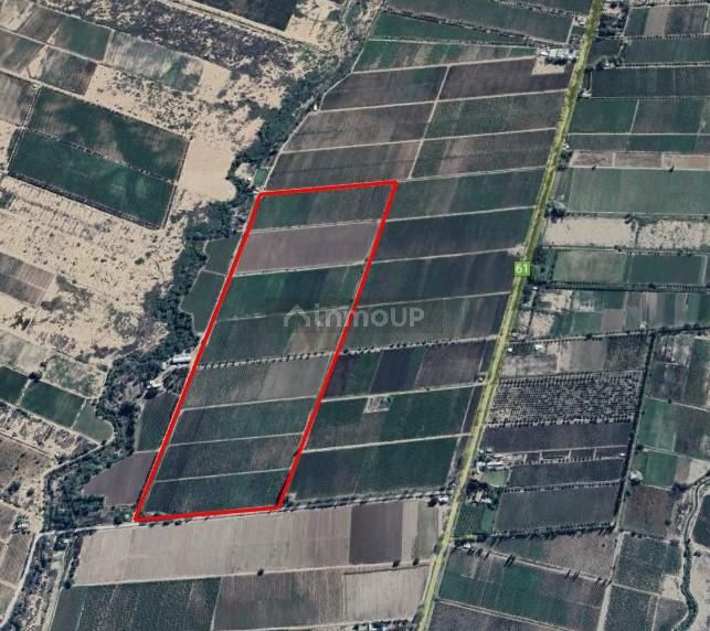 Finca en Venta en Junin, Mendoza