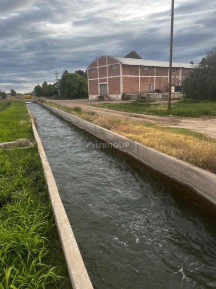 Finca en Venta en Junin, Mendoza