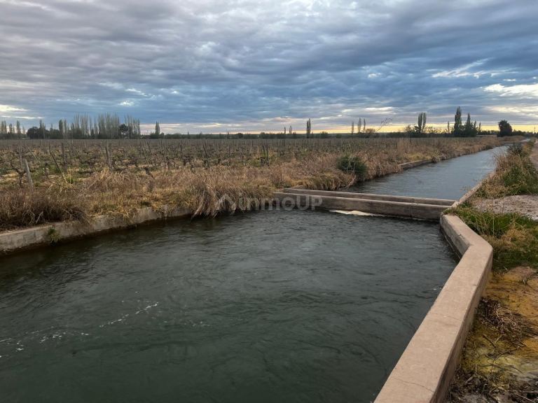 Finca en Venta en Junin, Mendoza