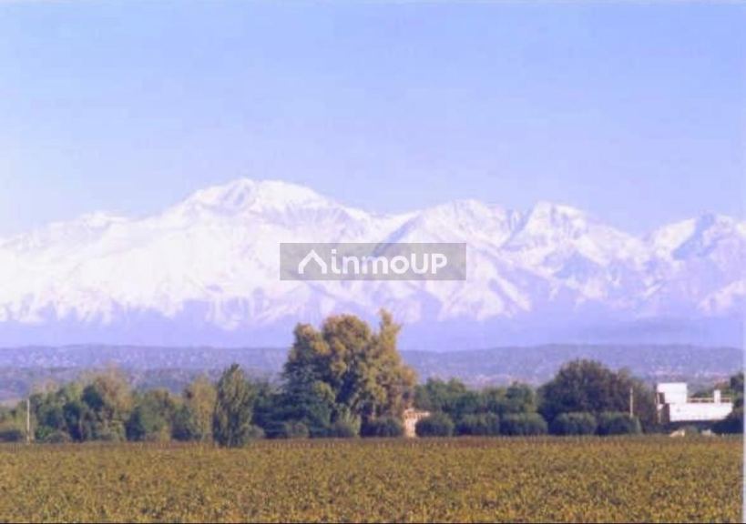 Finca en Venta en Junin, Mendoza