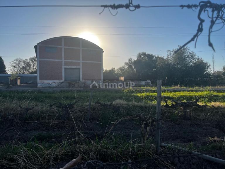 Finca en Venta en Junin, Mendoza