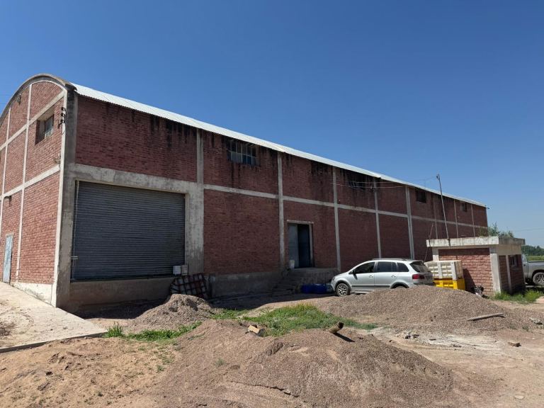 Finca en Venta en Junin, Mendoza