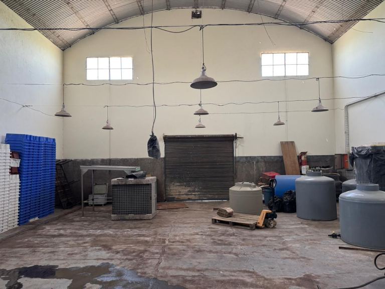 Finca en Venta en Junin, Mendoza