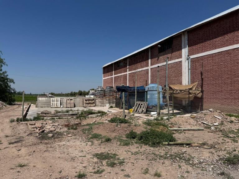 Finca en Venta en Junin, Mendoza