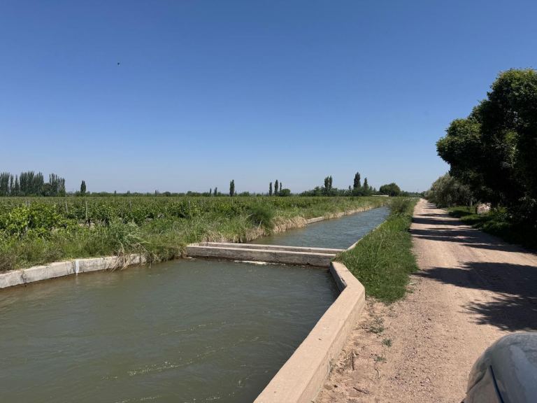 Finca en Venta en Junin, Mendoza