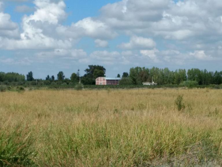 Finca en Venta en Junin, Mendoza