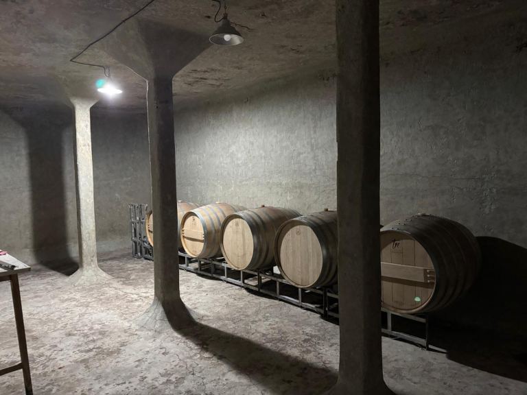Finca en Venta en Junin, Mendoza