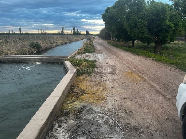 Finca en Venta en Junin, Mendoza