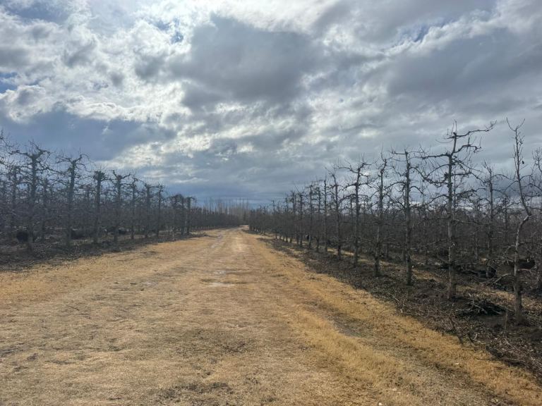 Finca en Venta en Tunuyan, Mendoza