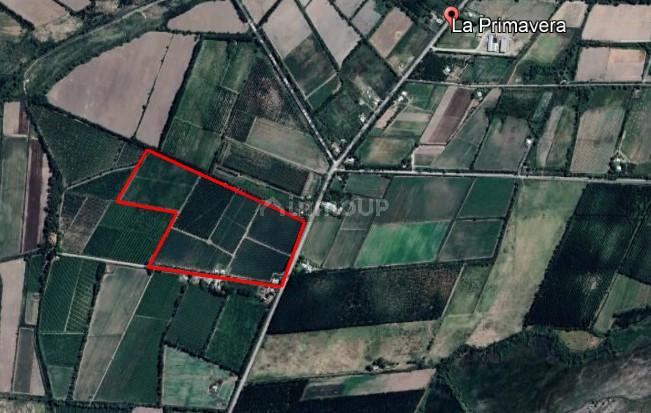 Finca en Venta en Tunuyan, Mendoza