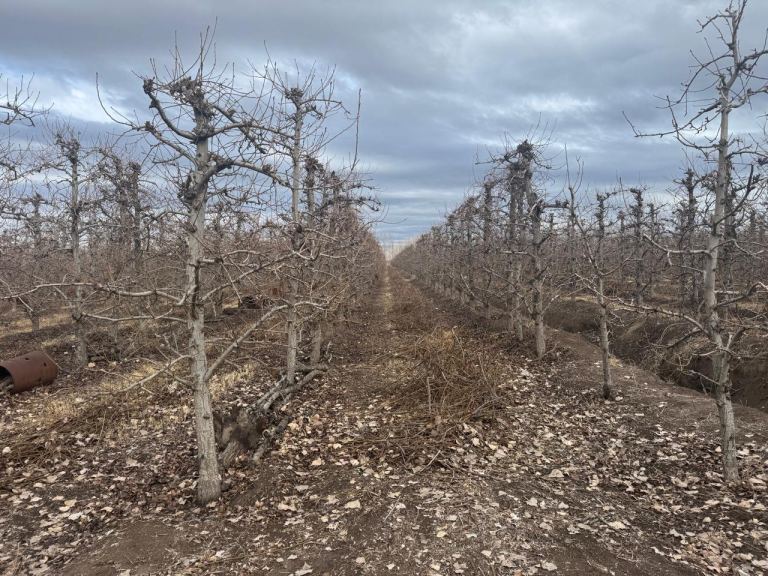 Finca en Venta en Tunuyan, Mendoza