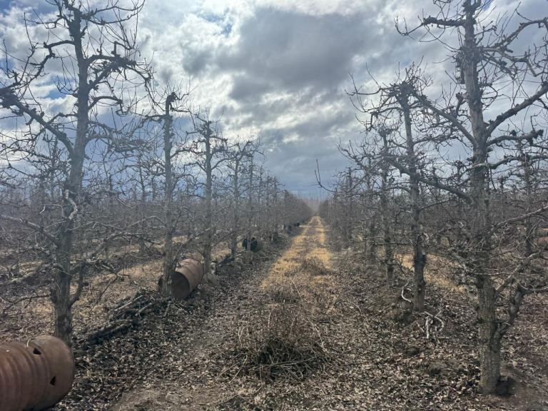Finca en Venta en Tunuyan, Mendoza
