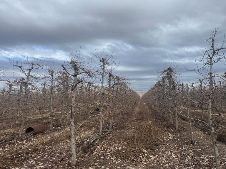 Finca en Venta en Tunuyan, Mendoza