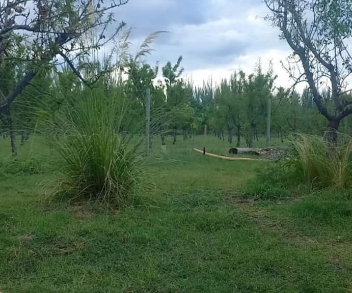 Casa en Venta en Tunuyan, Mendoza