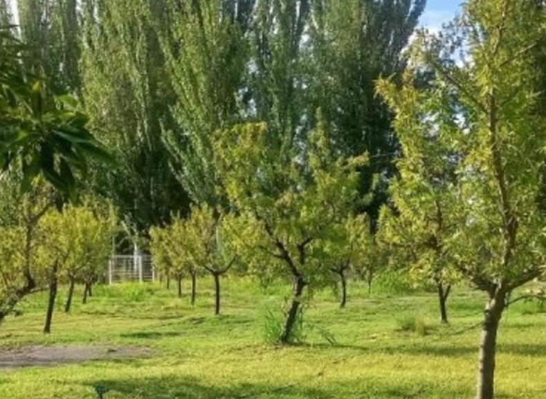 Casa en Venta en Tunuyan, Mendoza