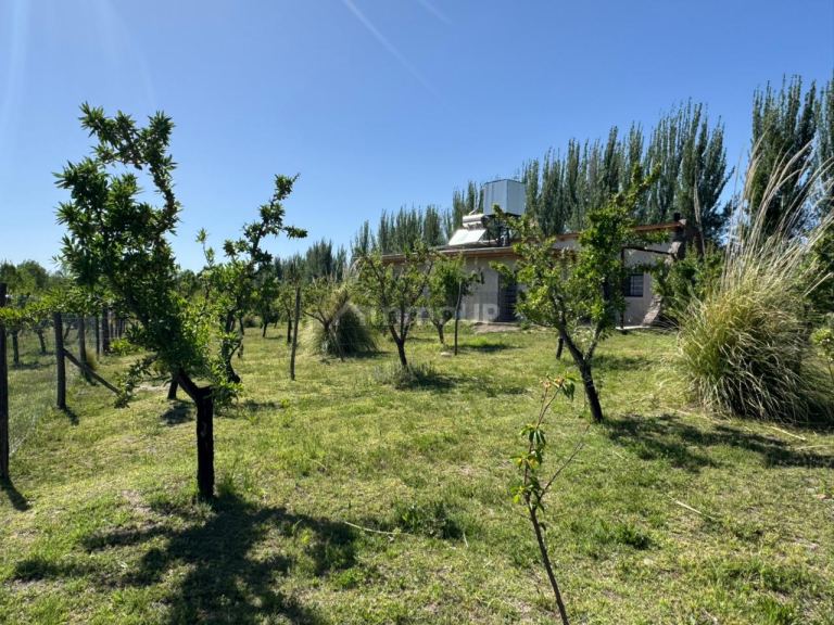 Casa en Venta en Tunuyan, Mendoza