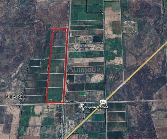 Finca en Venta en Lavalle, Mendoza