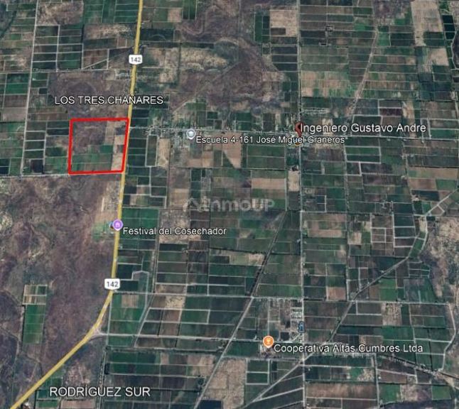 Finca en Venta en Lavalle, Mendoza