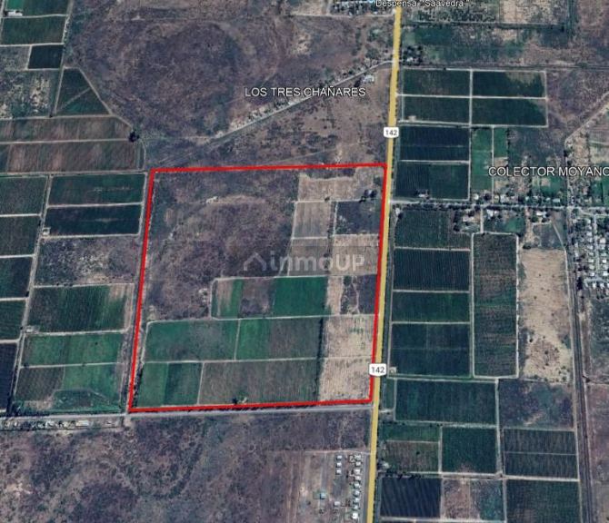 Finca en Venta en Lavalle, Mendoza