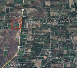 Lavalle TALET Y RUTA PROVINCIAL N°142 S/N