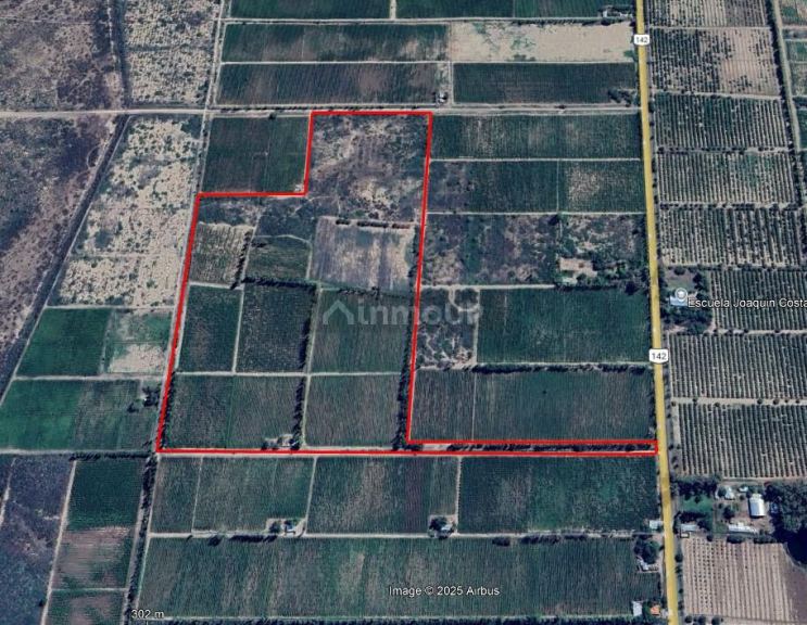 Finca en Venta en Lavalle, Mendoza