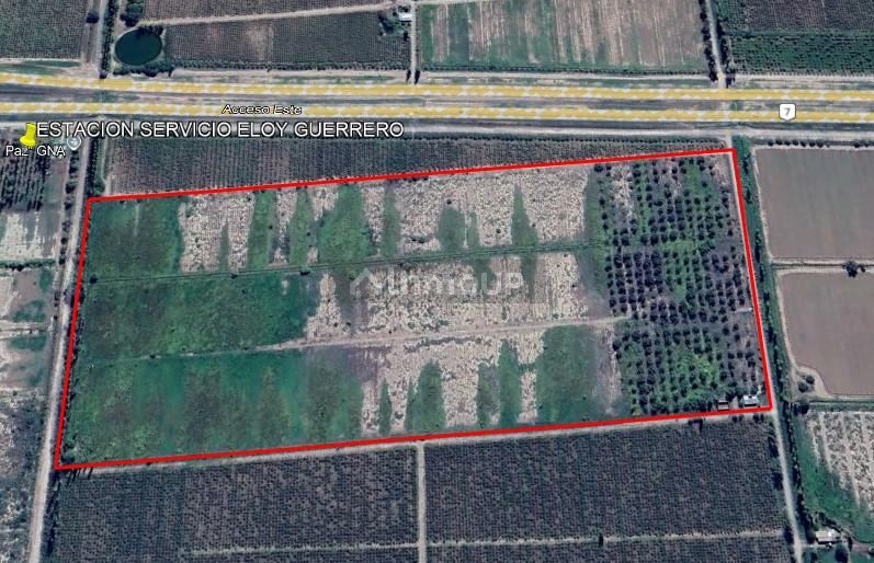 Campo en Venta en San Martin, Mendoza