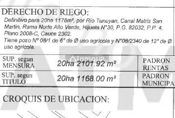 Campo en Venta en San Martin, Mendoza