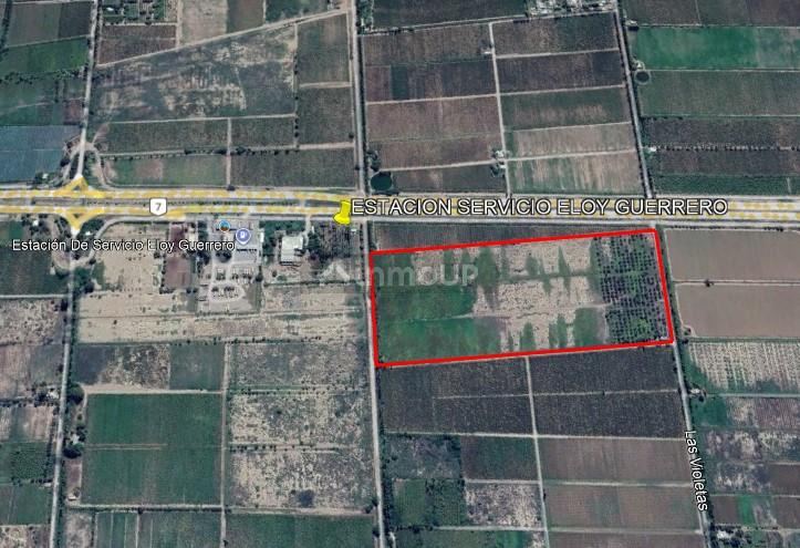 Campo en Venta en San Martin, Mendoza