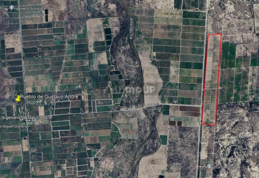 Finca en Venta en Lavalle, Mendoza