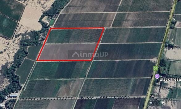 Finca en Venta en Junin, Mendoza