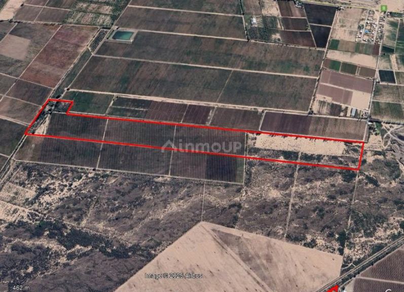 Finca en Venta en Maipu, Mendoza
