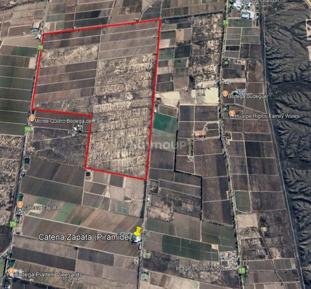 Finca en Venta en Lujan de Cuyo, Mendoza