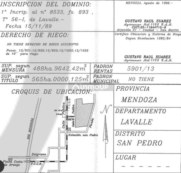 Finca en Venta en Lavalle, Mendoza