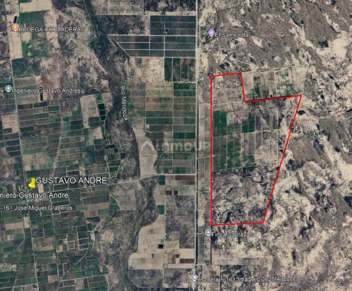 Finca en Venta en Lavalle, Mendoza