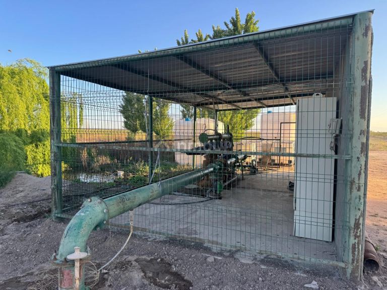 Campo en Venta en Rivadavia, Mendoza