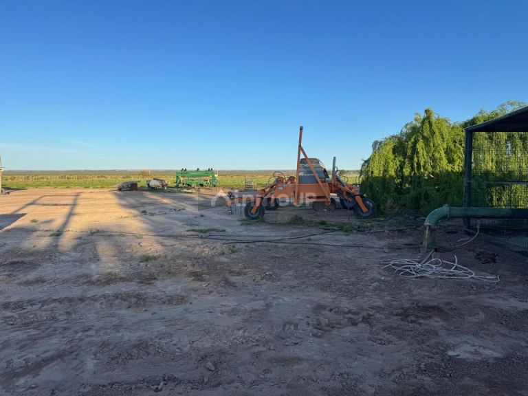 Campo en Venta en Rivadavia, Mendoza