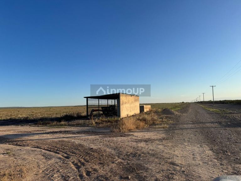 Campo en Venta en Rivadavia, Mendoza