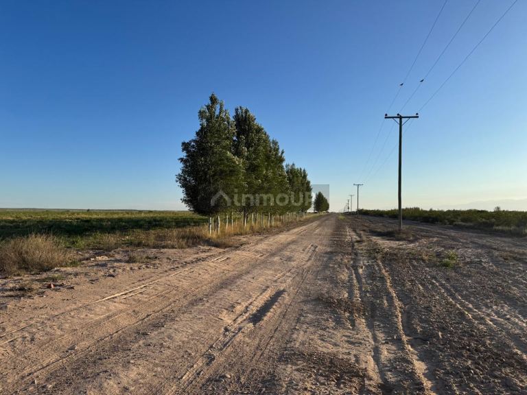 Campo en Venta en Rivadavia, Mendoza