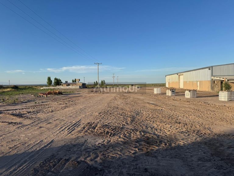 Campo en Venta en Rivadavia, Mendoza