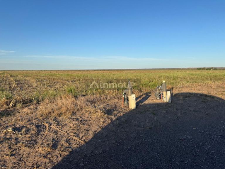 Campo en Venta en Rivadavia, Mendoza